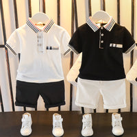 Load image into Gallery viewer, 2 Pcs Toddler Boy Casual Set  Polo Shirt &amp; Shorts Wholesale 02145216
