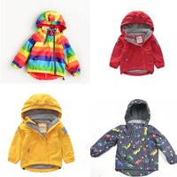 Load image into Gallery viewer, Baby Kid Unisex Rainbow Car Cartoon Star Print Jackets Outwears Wholesale 22110725
