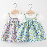Load image into Gallery viewer, Baby Girls Flower Print Dresses Wholesale 220330591
