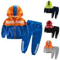 Load image into Gallery viewer, 2 Pieces Set Kid Big Kid Unisex Sports Striped Color-blocking Jackets Outwears And Pants Wholesale 22071909
