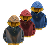Load image into Gallery viewer, Baby Kid Boys Color-blocking Hoodies Swearshirts Wholesale 22113058
