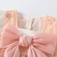 Load image into Gallery viewer, Baby Girls Embroidered Rompers Wholesale 23032695
