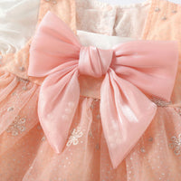 Load image into Gallery viewer, Baby Girls Embroidered Rompers Wholesale 23032695
