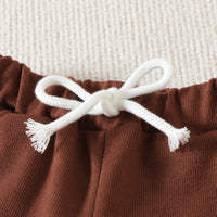 Load image into Gallery viewer, 2 Pieces Set Baby Girls Dinosaur Cartoon Print Rompers And Solid Color Shorts Wholesale 230407202
