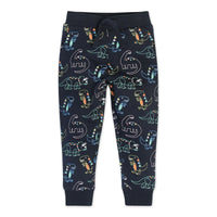 Load image into Gallery viewer, Baby Kid Boys Dinosaur Print Pants Wholesale 230407504

