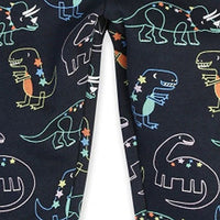 Load image into Gallery viewer, Baby Kid Boys Dinosaur Print Pants Wholesale 230407504
