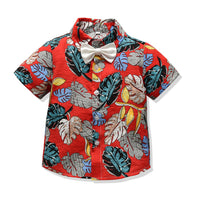 Load image into Gallery viewer, Baby Kid Boys Plant Print Tops Wholesale 23041109
