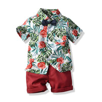 Load image into Gallery viewer, 2 Pieces Set Baby Kid Boys Birthday Party Bow Shirts And Solid Color Shorts Wholesale 23041114
