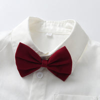 Load image into Gallery viewer, 3 Pieces Set Baby Kid Boys Solid Color Bow T-Shirts Checked Vests Waistcoats And Shorts Wholesale 230411147
