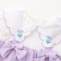 Load image into Gallery viewer, Baby Girls Color-blocking Flower Bow Embroidered Rompers Wholesale 230411235
