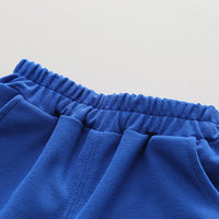 Load image into Gallery viewer, 2 Pieces Set Baby Kid Boys Alphabet Polo Shirts And Shorts Wholesale 230411245
