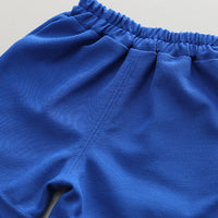 Load image into Gallery viewer, 2 Pieces Set Baby Kid Boys Alphabet Polo Shirts And Shorts Wholesale 230411245
