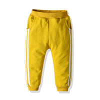 Load image into Gallery viewer, 2 Pieces Set Baby Kid Boys Striped Jackets Outwears And Pants Wholesale 23041131
