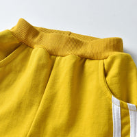 Load image into Gallery viewer, 2 Pieces Set Baby Kid Boys Striped Jackets Outwears And Pants Wholesale 23041131
