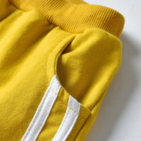 Load image into Gallery viewer, 2 Pieces Set Baby Kid Boys Striped Jackets Outwears And Pants Wholesale 23041131
