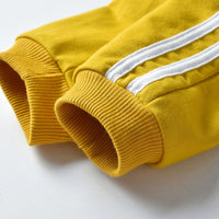 Load image into Gallery viewer, 2 Pieces Set Baby Kid Boys Striped Jackets Outwears And Pants Wholesale 23041131
