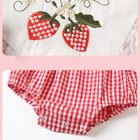 Load image into Gallery viewer, Baby Girls Fruit Checked Embroidered Rompers Wholesale 23041161
