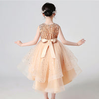 Load image into Gallery viewer, Kid Girls Solid Color Dressy Princess Dresses Wholesale 23041306
