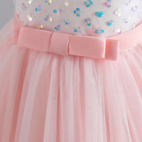 Load image into Gallery viewer, Kid Girls Color-blocking Lace Princess Dresses Wholesale 230413213
