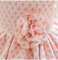 Load image into Gallery viewer, Baby Kid Girls Solid Color Dressy Princess Dresses Wholesale 230413352
