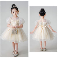 Load image into Gallery viewer, Kid Girls Solid Color Dressy Princess Dresses Wholesale 230413606
