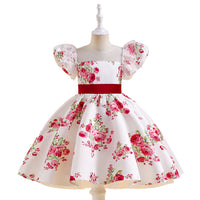 Load image into Gallery viewer, Baby Kid Girls Flower Print Dressy Princess Dresses Wholesale 230803109
