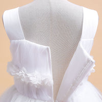 Load image into Gallery viewer, Kid Girls Solid Color Dressy Princess Dresses Wholesale 230803110
