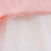 Load image into Gallery viewer, Kid Girls Solid Color Embroidered Dressy Princess Dresses Wholesale 23080313
