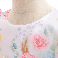 Load image into Gallery viewer, Kid Girls Flower Print Dressy Princess Dresses Wholesale 230803133

