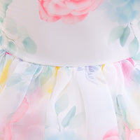 Load image into Gallery viewer, Kid Girls Flower Print Dressy Princess Dresses Wholesale 230803133
