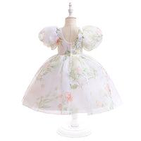 Load image into Gallery viewer, Kid Girls Flower Print Dressy Princess Dresses Wholesale 230803133
