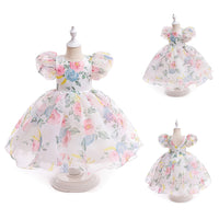 Load image into Gallery viewer, Kid Girls Flower Print Dressy Princess Dresses Wholesale 230803192
