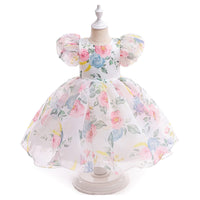 Load image into Gallery viewer, Kid Girls Flower Print Dressy Princess Dresses Wholesale 230803192

