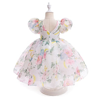 Load image into Gallery viewer, Kid Girls Flower Print Dressy Princess Dresses Wholesale 230803192
