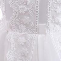 Load image into Gallery viewer, Kid Girls Solid Color Dressy Princess Dresses Wholesale 230803207

