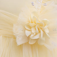 Load image into Gallery viewer, Kid Girls Solid Color Dressy Princess Dresses Wholesale 230803208
