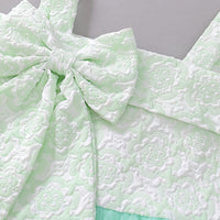 Load image into Gallery viewer, Baby Girls Solid Color Dressy Princess Dresses Wholesale 230803222
