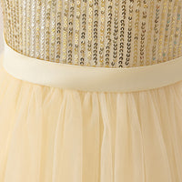 Load image into Gallery viewer, Kid Girls Solid Color Dressy Princess Dresses Wholesale 230803243
