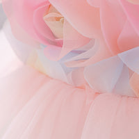 Load image into Gallery viewer, Baby Girls Color-blocking Dressy Princess Dresses Wholesale 23080344
