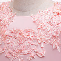 Load image into Gallery viewer, Kid Girls Solid Color Dressy Princess Dresses Wholesale 23080390
