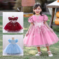 Load image into Gallery viewer, Baby Kid Girls Embroidered Dressy Princess Dresses Wholesale 23080397
