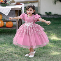 Load image into Gallery viewer, Baby Kid Girls Embroidered Dressy Princess Dresses Wholesale 23080397
