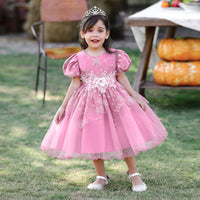 Load image into Gallery viewer, Baby Kid Girls Embroidered Dressy Princess Dresses Wholesale 23080397
