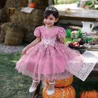 Load image into Gallery viewer, Baby Kid Girls Embroidered Dressy Princess Dresses Wholesale 23080397
