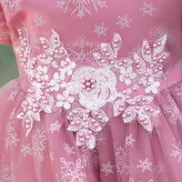 Load image into Gallery viewer, Baby Kid Girls Embroidered Dressy Princess Dresses Wholesale 23080397

