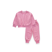 Load image into Gallery viewer, 2 Pieces Set Baby Kid Girls Boys Solid Color Hoodies Sweatshirts And Pants Wholesale 23090670
