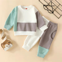 Load image into Gallery viewer, 2 Pieces Set Baby Kid Boys Color-blocking Tops And Pants Wholesale 24011120
