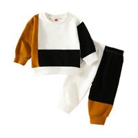 Load image into Gallery viewer, 2 Pieces Set Baby Kid Boys Color-blocking Tops And Pants Wholesale 24011120
