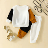 Load image into Gallery viewer, 2 Pieces Set Baby Kid Boys Color-blocking Tops And Pants Wholesale 24011120
