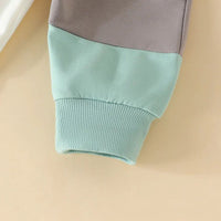 Load image into Gallery viewer, 2 Pieces Set Baby Kid Boys Color-blocking Tops And Pants Wholesale 24011120
